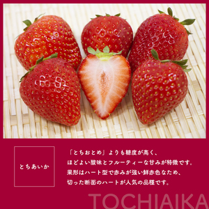 【2027年先行予約】とちあいか・スカイベリー　食べ比べ約540g　(CN)