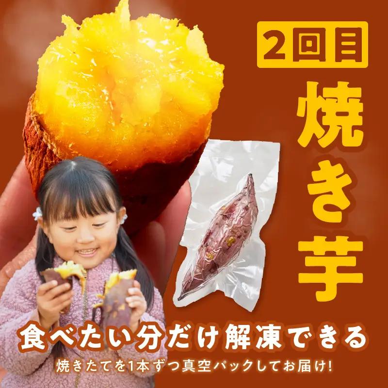 【定期便】干し芋 600g/焼き芋1kg 全2回 交互便