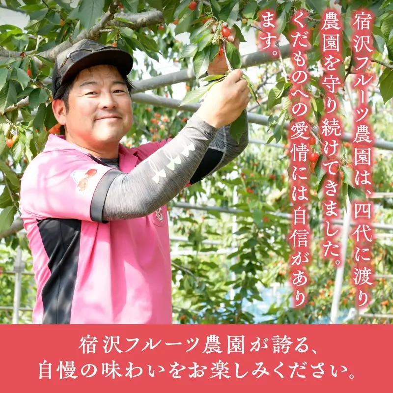 【宿沢フルーツ農園】プラム『太陽』（9～12玉）【2026年発送】（SF）B-194 すもも フルーツ