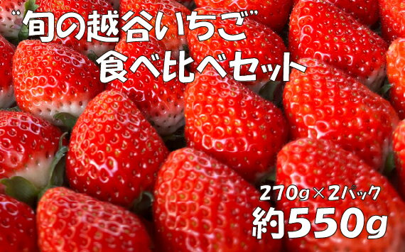 【ふるさと納税】【旬の越谷いちご】食べ比べセット　550g ／ 苺 食べ比べ 完熟いちご 国産いちご フレッシュ 果物 ギフト用 フルーツセット 旬の果物 高設栽培 甘さ 香り 果肉感 家庭用 お取り寄せ 送料無料 埼玉県 No.151