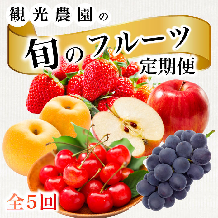 《2026年度先行受付》【フルーツ定期便全5回】 大容量 さくらんぼ 梨 ぶどう りんご いちご 2026年6月～発送 豪華フルーツ 詰め合わせ 採れたて 新鮮 産地直送 果物 広島県 三原市 059