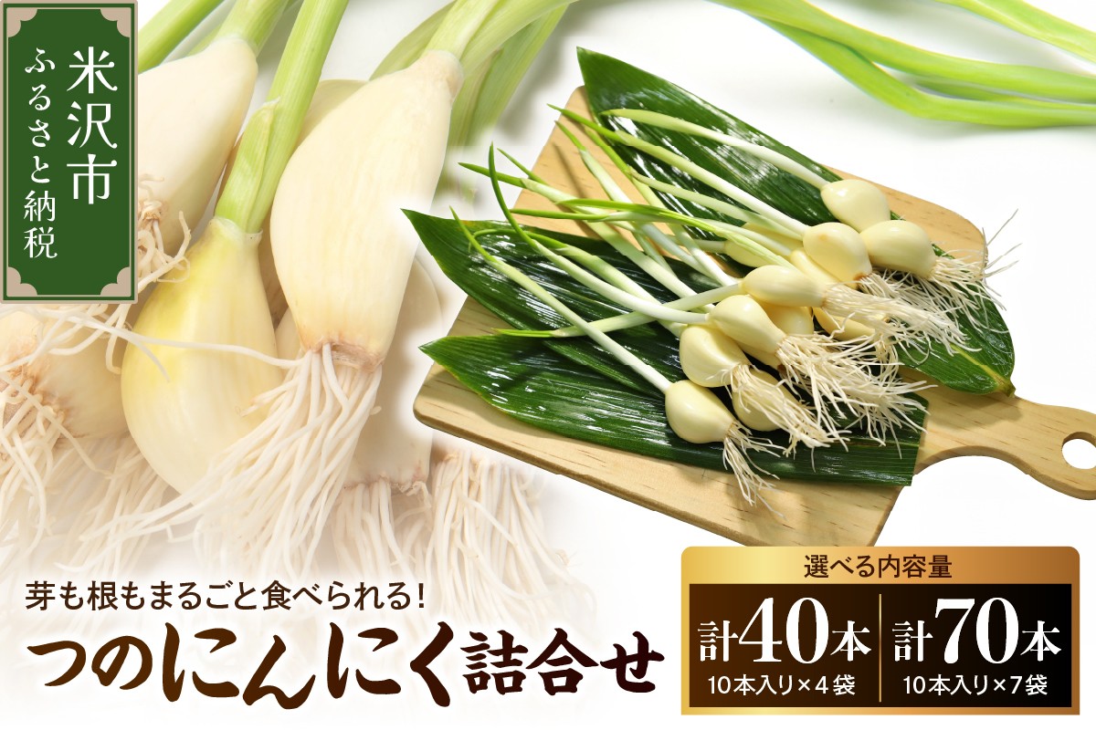 
                  つのにんにく 4袋 または 7袋 ( 1袋 10本入 ) 発芽にんにく 水耕 栽培 スプラウト にんにく ニンニク 山形県 米沢市
                