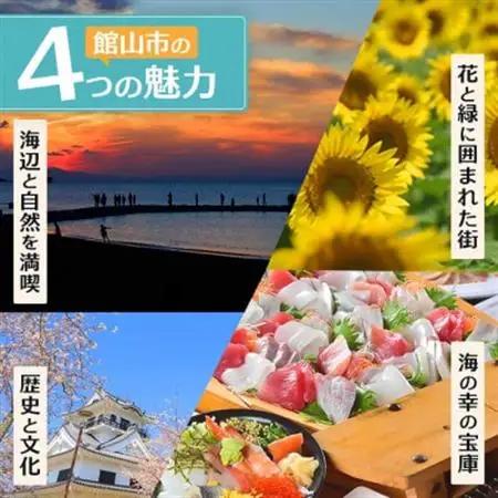 エンジョイ館山観光券 15,000円分【1659480】