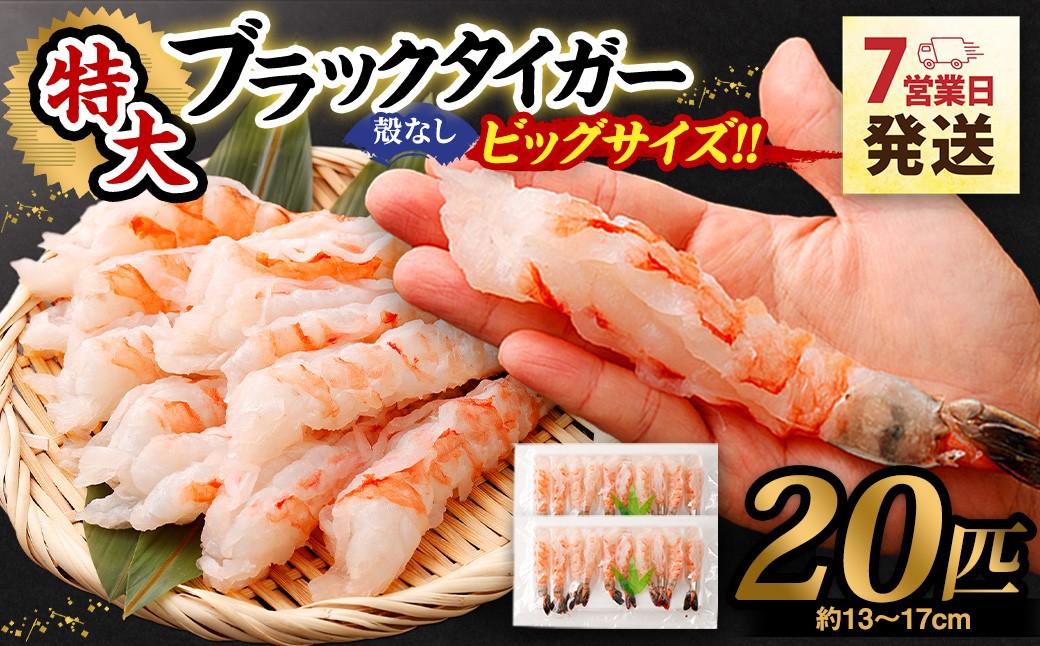 
                  超特大 ブラックタイガー 殻なし 20匹 ｜ ビッグサイズ （約13cm～約17cm） ｜ 【入金確認後7営業日以内に発送】 ｜ えび エビ 海老 むきえび ?きエビ 剥きえび 剥き海老 海老フライ エビフライ エビチリ エビマヨ 焼きそば アヒージョ むき身 海鮮 海産物 魚介類 甲殻類 海の幸 大型 大容量 特大 特大サイズ 超特大サイズ 時短 簡単調理 冷凍 大阪府 阪南市
                
