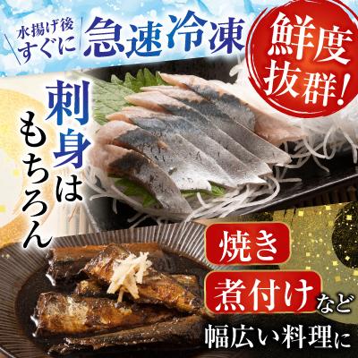 ふるさと納税 根室市 冷凍生さんま5尾×5P、ほたて貝柱200g×2P C-30038 |  | 01