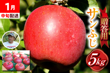 【2026年1月中旬発送】 贈答用 りんご 約 5kg サンふじ 青森県産 五所川原 【金賞受賞歴有！】