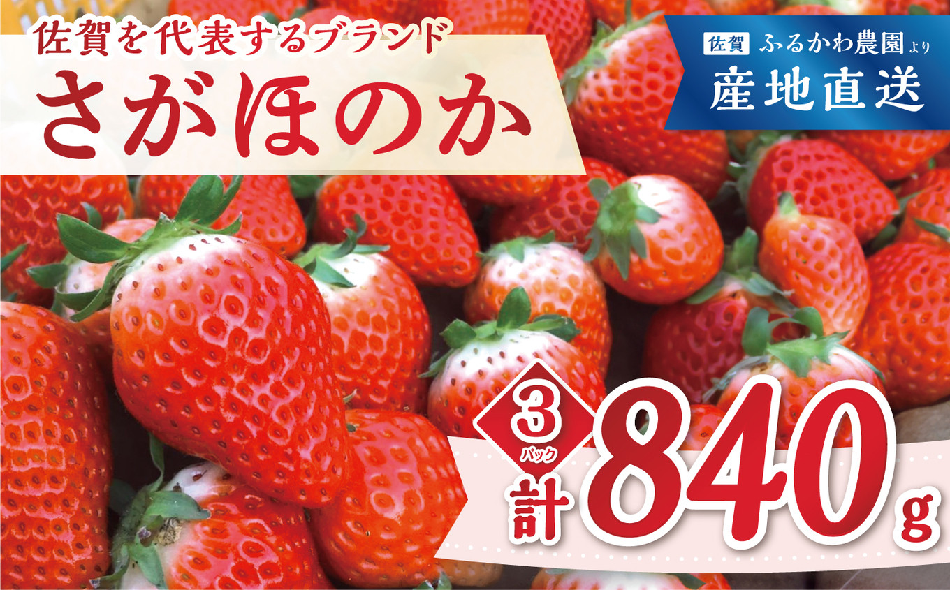 
【先行予約｜ふるかわ農園】佐賀県小城市産「さがほのか」計840g（280g×3箱）
