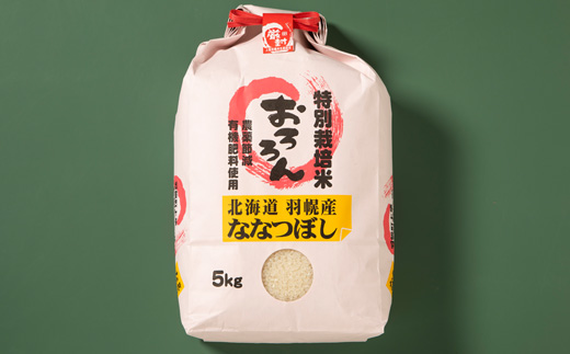 【令和5年産】【定期便：6回】令和5年産　北海道羽幌産特別栽培米ななつぼし5kg【08115】