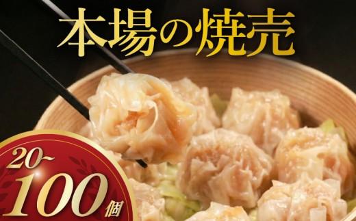 ＼TVで多数紹介!／ 肉汁たっぷり 焼売 65個 小分け 冷凍 お弁当 おかず しゅうまい シュウマイ 晩ごはん 夕ご飯 おつまみ syumai リピーター 常備 syumai 中華 中華料理 惣菜 手作り SHUMAI 豚まん専門店龍福 二見 大阪府 松原市