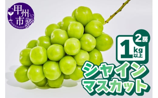 【農林水産大臣賞受賞!!】シャインマスカット2房1kg以上【2025年発送】（AGB）B12-445 【シャインマスカット 葡萄 ぶどう ブドウ 令和7年発送 期間限定 山梨県産 甲州市 フルーツ 果物】