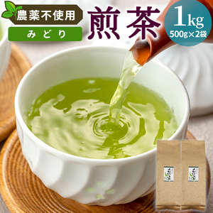農薬不使用！煎茶 みどり 1kg 常磐園 白川茶 美濃白川茶 日本茶 緑茶 煎茶 茶葉 お茶 一番茶 春摘み リーフ 国産 大容量 岐阜県 東白川村 進物用 家庭用