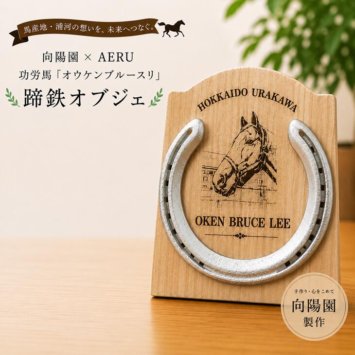【ふるさと納税】向陽園×AERU 功労馬「オウケンブルースリ」蹄鉄オブジェ[35-1639] 北海道 浦河 ふるさと納税 蹄鉄 オウケンブルースリ 競走馬 功労馬 オブジェ 置物 送料無料