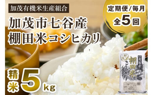 【令和7年産】【定期便5ヶ月毎月お届け】七谷産 棚田米 コシヒカリ 精米 5kg《順次出荷》 白米 加茂有機米生産組合 新潟県 加茂市産 白米 米 お米 定期便