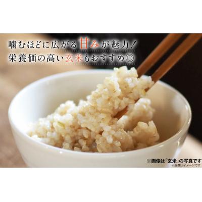 ふるさと納税 宝達志水町 米 定期便 ひゃくまん穀「弘宝米」 玄米 30kg ×6回 総計 180kg [38601377] |  | 01