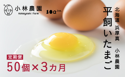 【全3回定期便】こだわりの無投薬･平飼い有精卵 50個《厚真町》【テンアール株式会社】 たまご 卵 鶏卵 玉子 生卵 平飼い 北海道 定期便  [AXAN001]