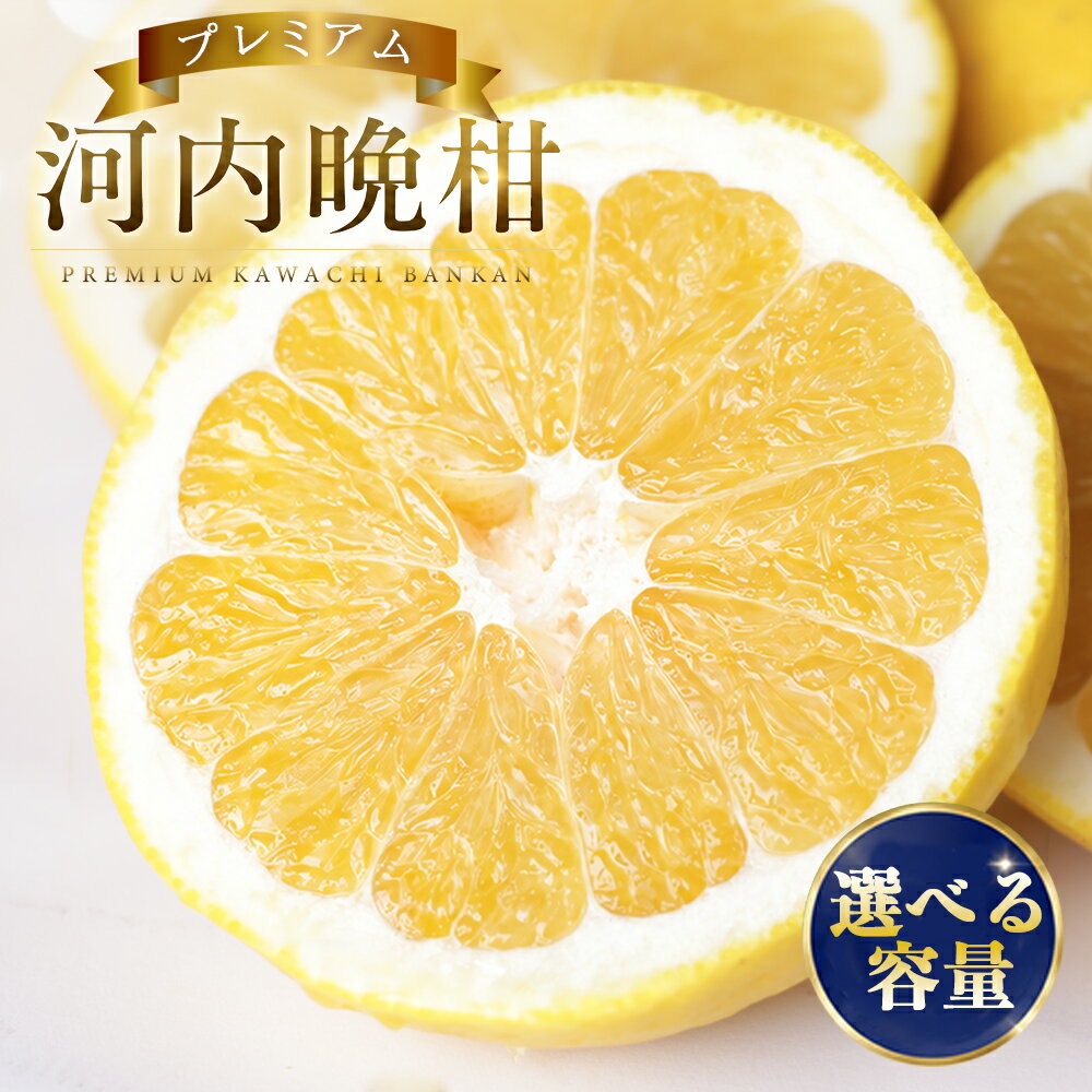 【ふるさと納税】 選べる 容量 プレミアム 河内晩柑 3kg 5kg 10kg L から 3L サイズ 樹齢 20年 以上 古木 愛南ゴールド 和製 グレープフルーツ 家庭用 愛媛 みかん 果物 フルーツ デザート ジュース ゼリー 特産品 愛媛県 愛南町 清家ばんかんビレッジ