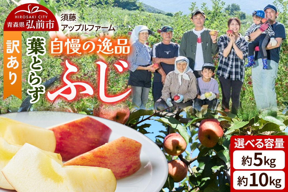 
                  りんご【26年11月下旬～発送】葉とらず ふじ【訳あり】【選べる約 5kg／10kg】家庭用 青森県 弘前市 果物 フルーツ 林檎 リンゴ くだもの 不揃い 規格外 [先行予約 産地直送 アップル おいしい 果実 美味 甘い 赤色]
                