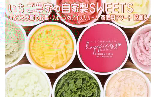 いちご農家の自家製SWEETS いちごと季節の野菜・フルーツのアイスクリーム 家庭用アソート 12個入〇