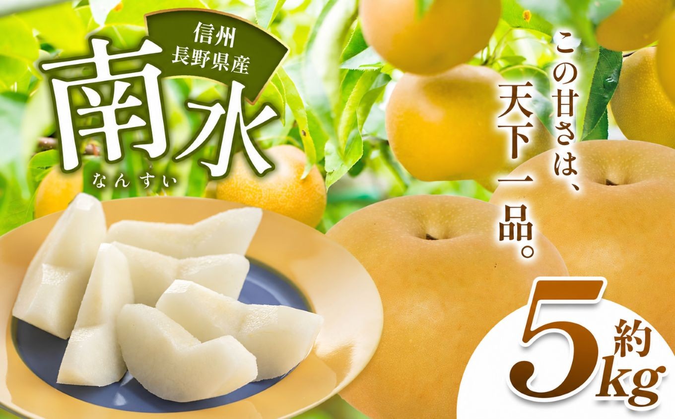 
                   長野県産 甘くてジューシー！ 南水 約5kg 【9月下旬～10月末にかけて順次発送予定】 | 果物 くだもの 南水 フルーツ 梨 なし ナシ 長野県 塩尻市
                