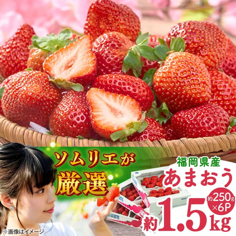 【先行予約】春あまおう6P BGAG026 あまおういちご
