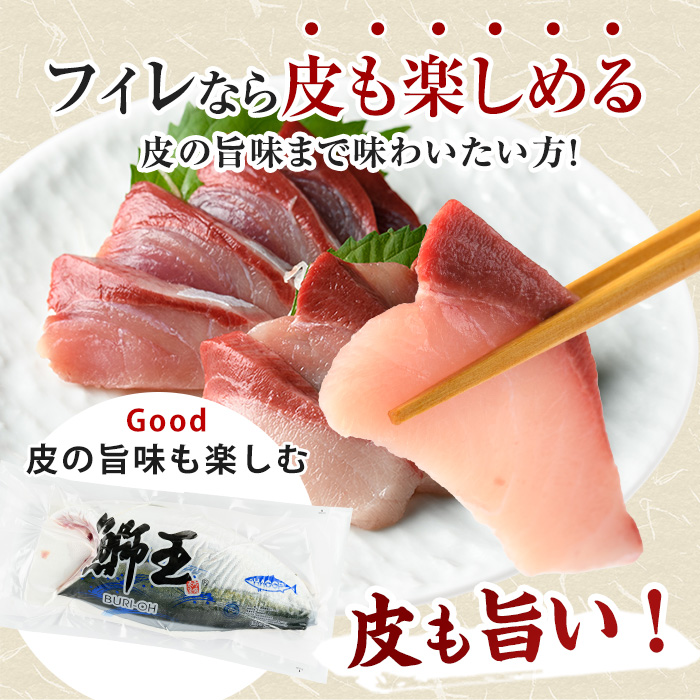 【先行予約】ぶりの王様「 鰤王 」 フィレ (約1.5kg・フィレ1枚) 産地直送 長島町特産品 ぶり 鰤 ブリ 切り身 真空 冷蔵 刺身 ぶりしゃぶ 人気 【JFA】_jfa-1219