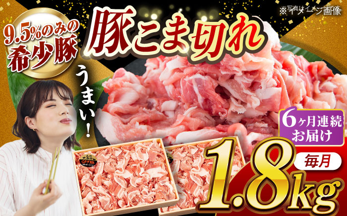 
                  【月1回約1.8kg×6回定期便】大西海SPF豚 こま切れ 計約10.8kg 長崎県/長崎県農協直販 [42ZZAA054]
                