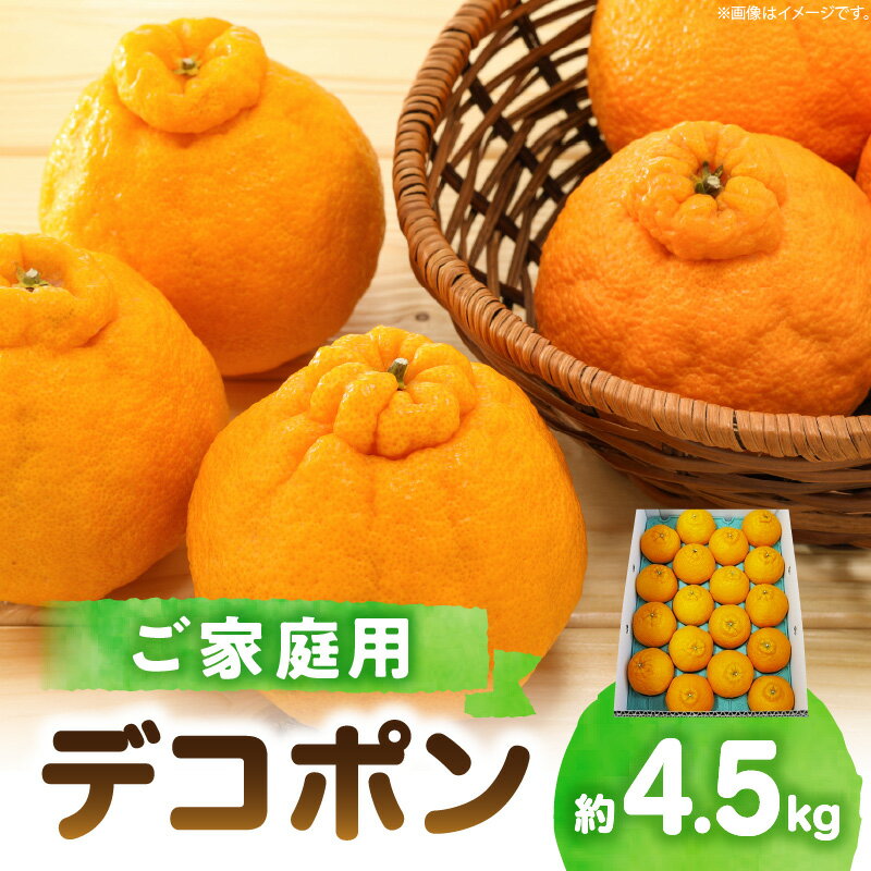【ふるさと納税】高松産季節の果物＜ご家庭用　デコポン＞約4.5kg【2027年2月下旬～2027年4月上旬配送】 | みかん 果物 フルーツ 柑橘 定番品種 定番 蜜柑 果実 香川県 高松市 自宅用 食品 食べ物 お取り寄せ おすそ分け