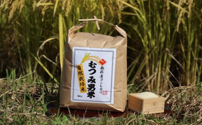 
            自然栽培 むつみ男米 白米 10kg　｜HG000414
          