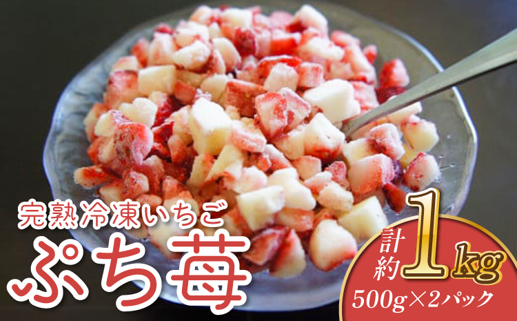 完熟 冷凍 いちご 「ぷち苺」 1kg（500g×2パック） 園村苺園