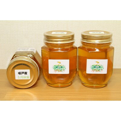 【ふるさと納税】純粋坂戸はちみつ約550g(185g3個)【1201208】