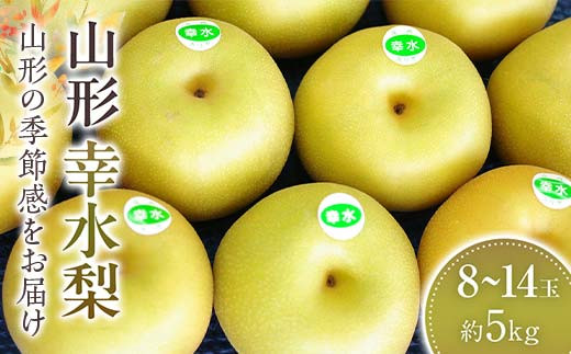 幸水梨　約8玉～約14玉 約5kg 【2025年8月から発送】  なし ナシ 梨 デザート フルーツ 果物 くだもの 果実 食品 山形県 FSY-1073