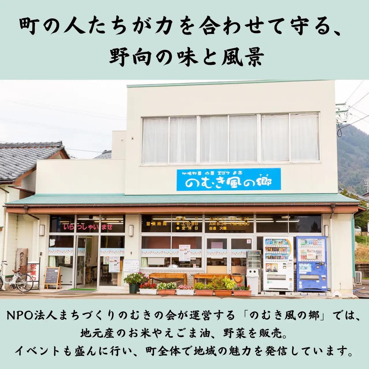 精米 のむき風の郷米 コシヒカリ（精米) 5㎏×2袋 定期便 先行予約