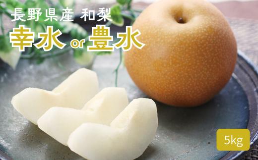 MS02-26A 【先行予約】梨 幸水か豊水（長野県産秀品） 約5kg / 2026年8月下旬～9月中旬頃 配送予定 // 長野県 南信州 梨 なし ナシ 幸水 豊水 贈答 こうすい ほうすい