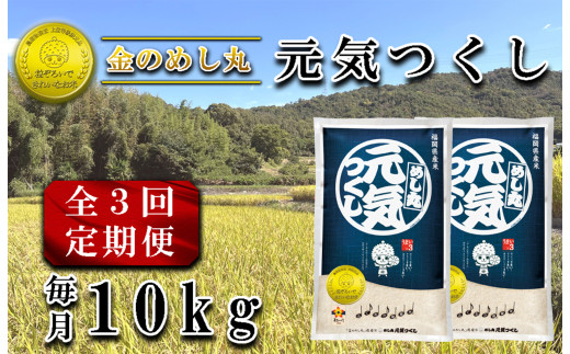 CE-089_【定期便３回】令和8年米　金のめし丸元気つくし　10Kg（５kg×２袋）