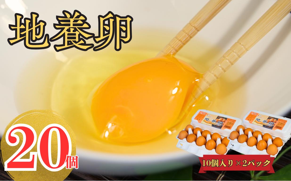 
                  地養卵20個セット〈10個×2パック〉たまごかけごはんにおすすめの卵　三重県［RA16］
                