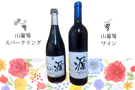 WC23-24F 原りんご園 [源]山葡萄ワイン＆[源]山葡萄スパークリングワインセット（各750ml×2本）長野県 南信州 希少 山ぶどう 贈答 ギフト 数量限定