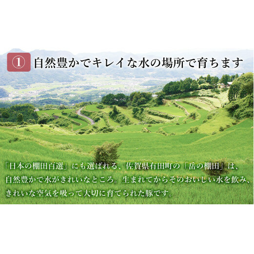 【計1kg 小分け真空パック】ありたぶた ロース しゃぶしゃぶ 約1kg (200g×5パック) 小分け 真空パック 豚肉 N10-61_イメージ3