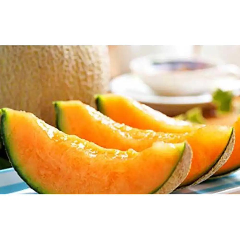 ★2026年夏発送★ 岸田農園産 北海道メロン 1玉入り(サイズ:1.8kg以上)| メロン
