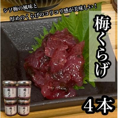 ふるさと納税 小田原市 梅くらげ 4本【小田原で作る梅の珍味、日本酒、焼酎、お酒のあてに。】【神奈川県小田原市早川】