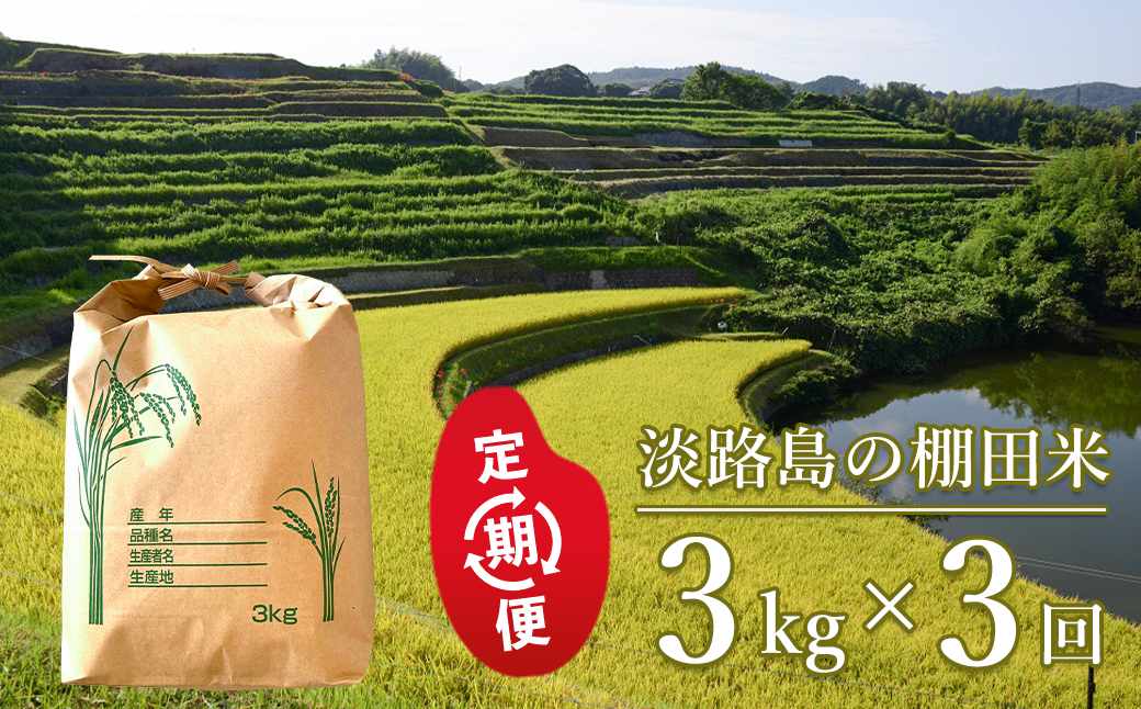 【定期便】淡路島の棚田米 ３kg×３回　精米 白米