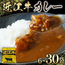 【ふるさと納税】 近江牛 レトルト カレー 160g×6～30袋 セット 【 黒毛和牛 牛肉 960g ～ 4800g 肉 ギフト 自宅用 黒毛和牛 国産 近江 三大和牛 和牛 贈り物 内祝い 神戸牛 松阪牛 に並ぶ 日本三大和牛 滋賀県 竜王町 澤井牧場 送料無料 5000円以下 お買い物マラソン 】