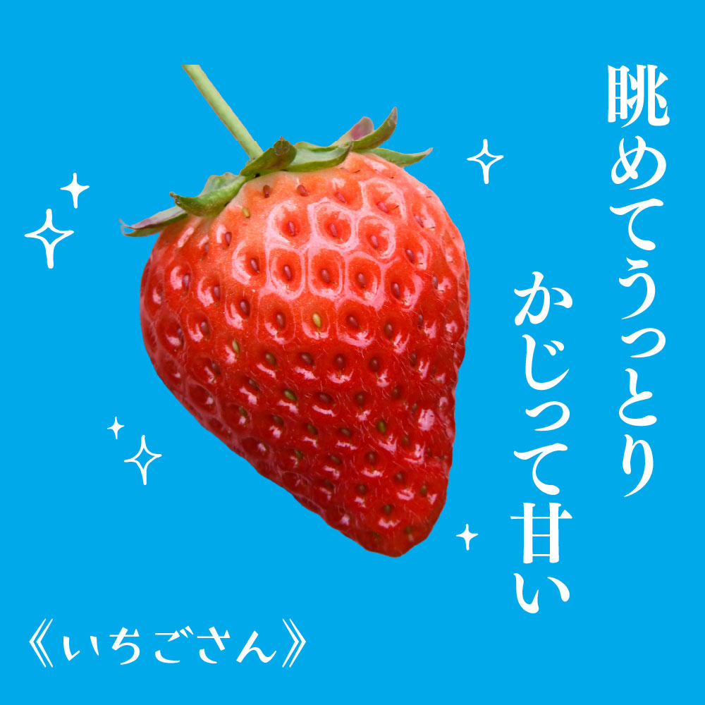 冷凍いちご 2kg(いちごさん)【佐賀県産 ブランド 冷凍いちご フレッシュ 冷凍フルーツ スムージー デザート お菓子作り シャーベット 甘い みずみずしい 無添加】(H126102)
