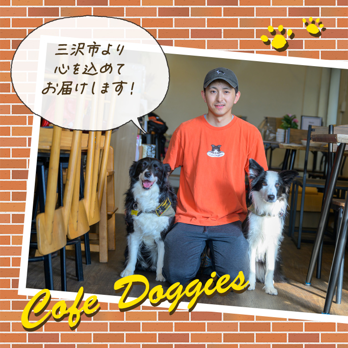 ＜愛犬・愛猫用＞フィッシュサイコロシリーズ (2種) ペット 猫 犬 ペット用おやつ 犬のおやつ ペットフード フィッシュ 魚 サーモン まぐろ 低温乾燥 【Cafe Doggies】【ms02-07】