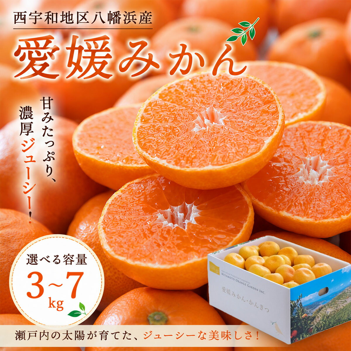 【ふるさと納税】 【先行受付】西宇和地区八幡浜産 愛媛みかん( 3kg / 5kg / 7kg )_ みかん ミカン 蜜柑 愛媛みかん 愛媛 えひめ 果物 くだもの フルーツ デザート おいしい 甘い かんきつ 柑橘 柑橘類 国産 愛媛県 八幡浜市【G1044410】