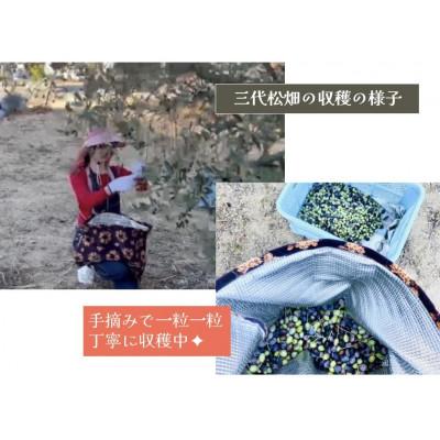 ふるさと納税 土庄町 期間限定搾りたて100%小豆島産三代松家オリーブオイル(エキストラバージンオイル)67ml無濾過1本 |  | 02