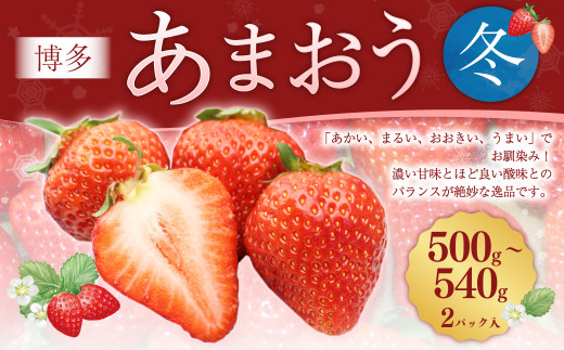 博多あまおう2パック（冬） 250g～270g×2パック 合計約500g～540g あまおう いちご 苺 イチゴ フルーツ 果物 くだもの【2026年12月上旬-2027年1月下旬発送予定】