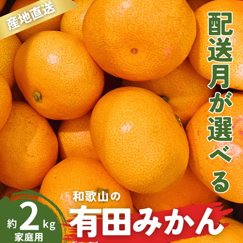 【ふるさと納税】 ＼配送月が選べる！／ 家庭用 有田みかん 和歌山 訳あり わけあり S～Lサイズ 大きさお任せ 2kg / みかん フルーツ 果物 くだもの 有田みかん 蜜柑 柑橘