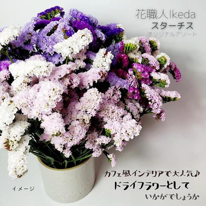 【ふるさと納税】生花《スターチス》 花職人Ikeda（オリジナルアソート） | 和歌山県 印南町 和歌山 返礼品 返礼 支援品 お礼の品 楽天ふるさと 納税 お花 花 インテリア雑貨 フラワー 観葉植物 植物 インテリア インテリアフラワー アレンジ 直送 生花 おしゃれ オシャレ