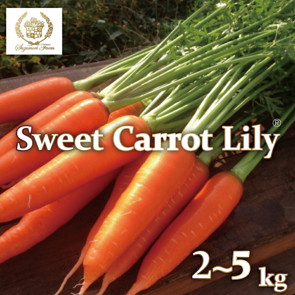 【ふるさと納税】【期間限定】 にんじん 鈴盛農園 甘いにんじん 人参 ニンジン スウィートキャロットリリィ 5kg ジュース スムージー 送料無料