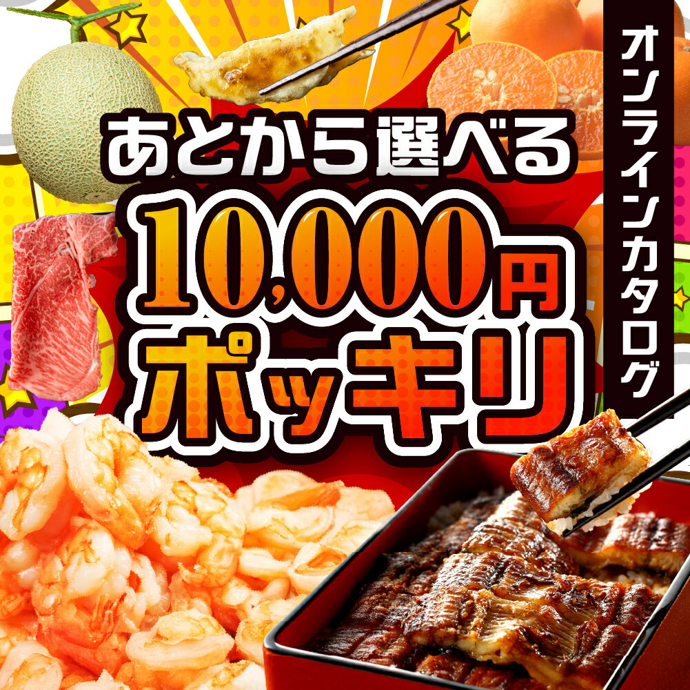 【ふるさと納税】あとからゆっくり返礼品を選べる♪ 10000円 ポッキリ ふるさと納税 カタログ 定期便 後から選べる あとからセレクト 米 牛肉 うなぎ メロン えび 果物 フルーツ 野菜 スイーツ 鶏肉 惣菜 訳あり お楽しみ 1万円 10000円